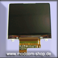 iPod Video LCD Display