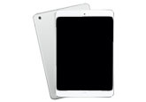 iPad mini2